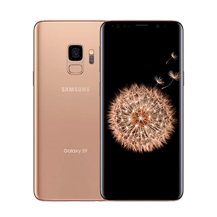 Samsung Galaxy S9 Plus (64 GB) Oro - Grado estetico: Buono - Batteria Standard