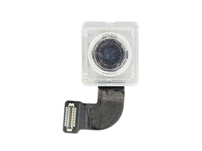 Apple iPhone 8 Modulo Camera Posteriore (No Logo) (ECOSTORE)