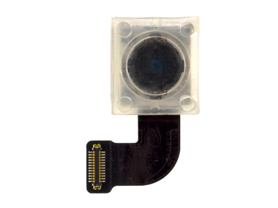 Apple iPhone SE 2020 Modulo Camera Posteriore (ECOSTORE)