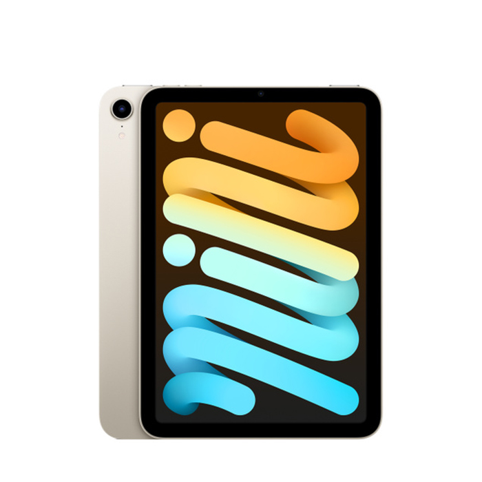 Apple iPad Mini 6 (256 GB) Argento - Grado Estetico: Ottimo - Batteria Oltre 85%