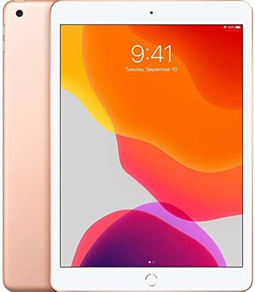 Apple iPad 7 (32 GB) Oro - Grado Estetico: Ottimo - Batteria Nuova