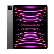Apple iPad Pro 2022 (256 GB) Grigio - Grado Estetico: Buono - Batteria Oltre 85%