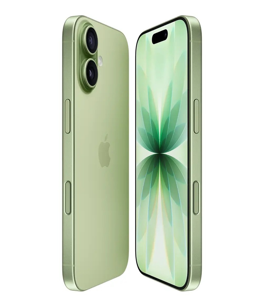 Apple iPhone 17 (256 GB) Salvia - Grado Estetico: Ottimo - Batteria Oltre 85%