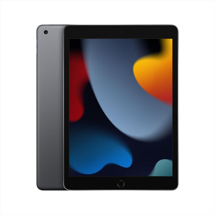 Apple iPad 10.2 (2019) 7a Generazione WiFi (32 GB) Grigio Siderale - Grado Estetico: Ottimo - Batteria Nuova