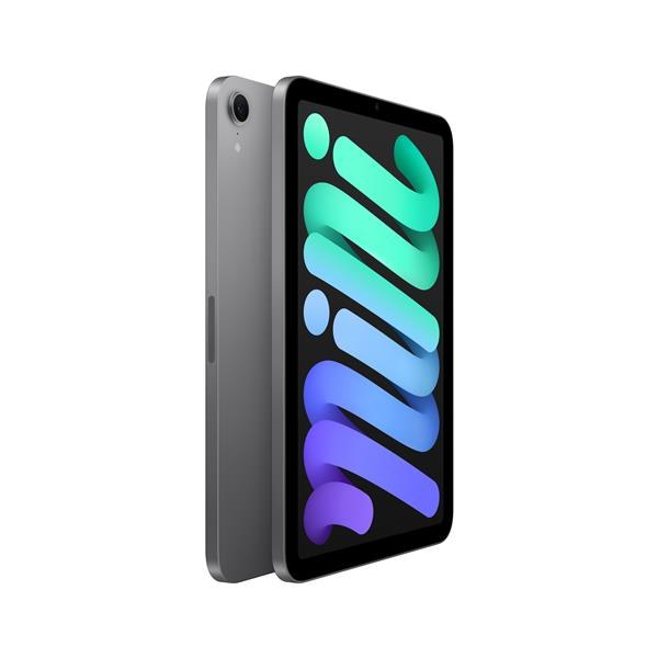 Apple iPad Mini 8.3 (2021) 6a Generazione WiFi (64 GB) Grigio Siderale - Grado Estetico: Ottimo - Batteria Oltre 85%